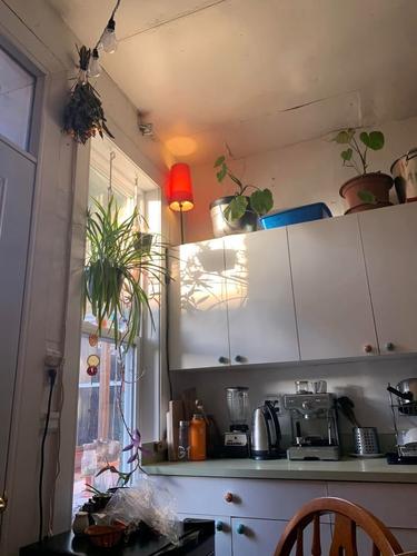 Appartement de 4 chambres à louer à Montreal - Le Plateau-Mont-Royal — photo 10