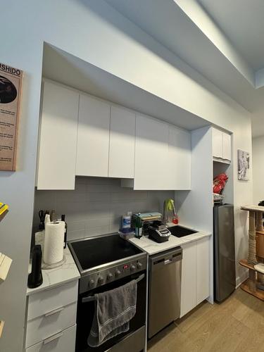 1 bedroom apartment for rent in Montreal - Le Sud-Ouest — photo 12