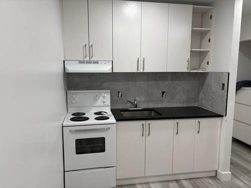 Appartement de 1 chambre à louer à Montreal - Le Plateau-Mont-Royal — photo 9