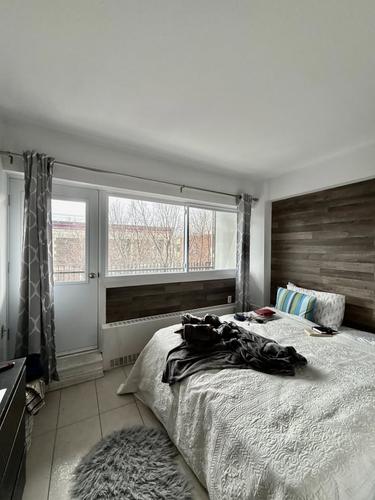 Appartement de 1 chambre à louer à Montreal - Le Plateau-Mont-Royal — photo 4
