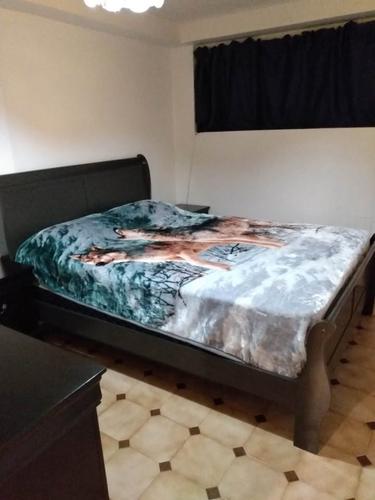 Appartement de 2 chambres à louer à Montreal - Rosemont–La Petite-Patrie — photo 9