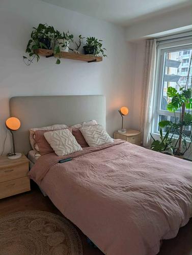 Appartement de 1 chambre à louer à Montreal - Ville-Marie — photo 5
