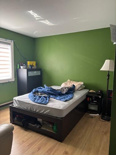 2 bedrooms apartment for rent in Lévis — photo 8