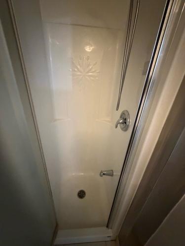 1 bedroom apartment for rent in Montreal - Le Plateau-Mont-Royal — photo 7