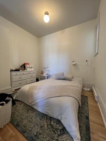 Appartement de 1 chambre à louer à Montreal - Le Plateau-Mont-Royal — photo 9