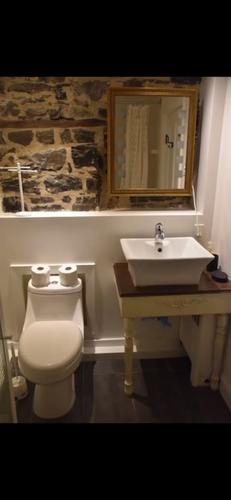 Appartement de 1 chambre à louer à Québec - La Cité-Limoilou — photo 5