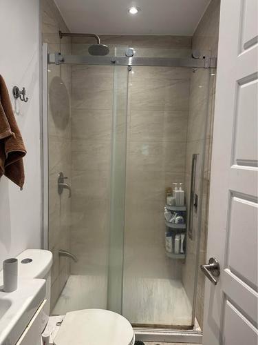 1 bedroom apartment for rent in Montreal - Le Plateau-Mont-Royal — photo 2
