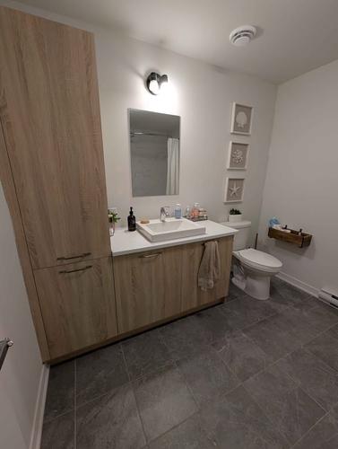 1 bedroom apartment for rent in Longueuil — photo 6