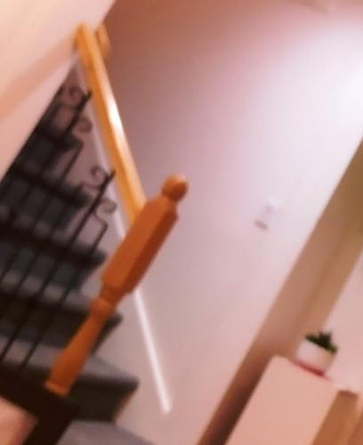 1 bedroom apartment for rent in Gatineau — photo 5
