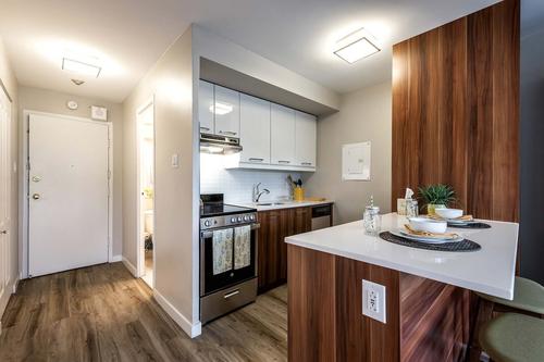 1 bedroom apartment for rent in Montreal - Le Plateau-Mont-Royal — photo 2