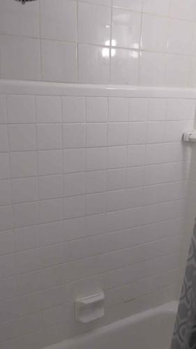 2 bedrooms apartment for rent in Montreal - Rosemont–La Petite-Patrie — photo 18