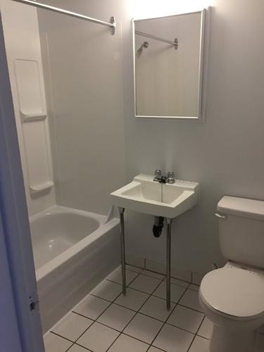 1 bedroom apartment for rent in Montreal - Rosemont–La Petite-Patrie — photo 5
