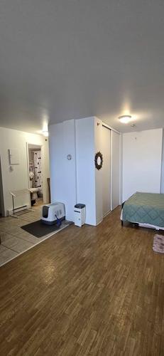 1 bedroom apartment for rent in Montreal - Rosemont–La Petite-Patrie — photo 9