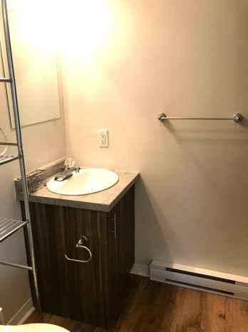 Appartement de 1 chambre à louer à Gatineau — photo 5