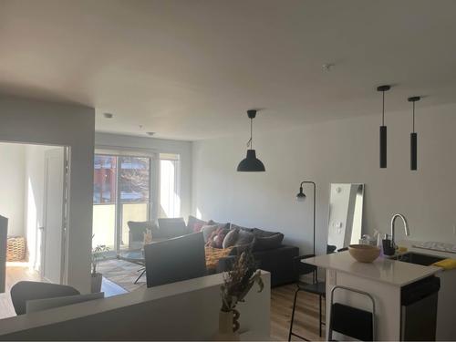 1 bedroom apartment for rent in Montreal - Ville-Marie — photo 2