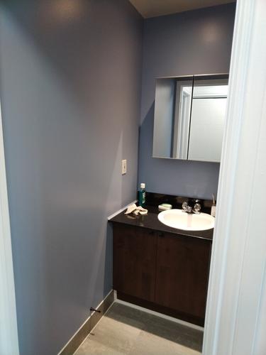 1 bedroom apartment for rent in Montreal - Ville-Marie — photo 7