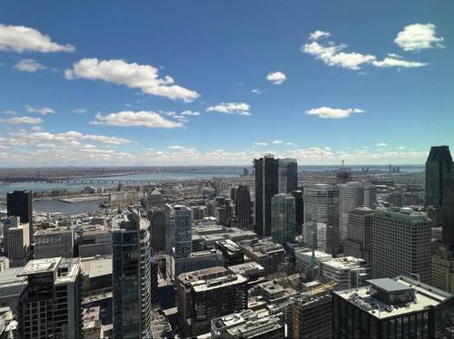 1 bedroom apartment for rent in Montreal - Ville-Marie — photo 13