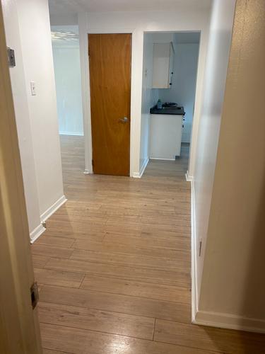 1 bedroom apartment for rent in Montreal - Rosemont–La Petite-Patrie — photo 3