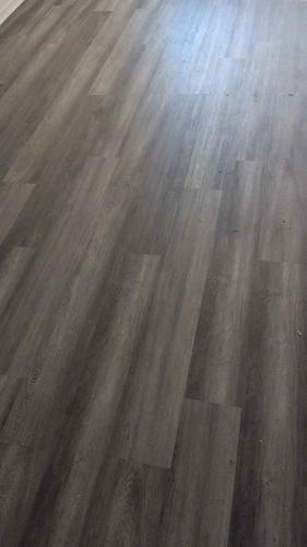 2 bedrooms apartment for rent in Montreal - Rosemont–La Petite-Patrie — photo 2
