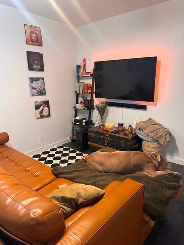 1 bedroom apartment for rent in Montreal - Le Plateau-Mont-Royal — photo 4