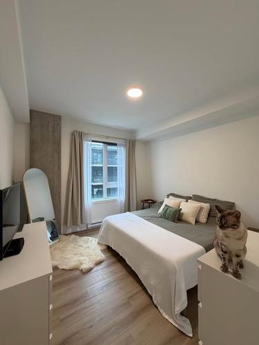 2 bedrooms apartment for rent in Lévis — photo 13
