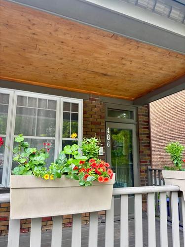 Studio for rent in Québec - La Cité-Limoilou — photo 2