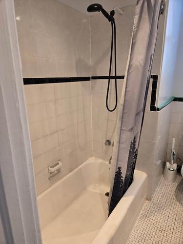 1 bedroom apartment for rent in Montreal - Rosemont–La Petite-Patrie — photo 14