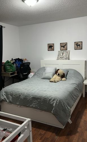 2 bedrooms apartment for rent in Gatineau — photo 10