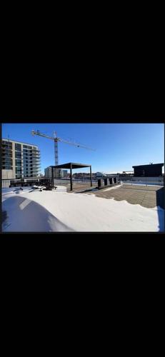 Appartement de 1 chambre à louer à Laval — photo 14