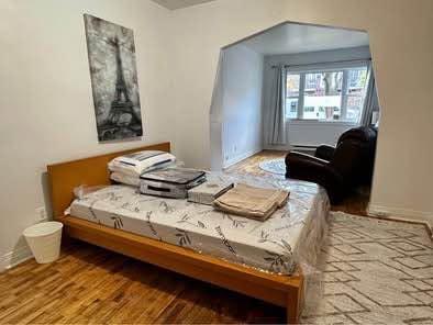 Appartement de 1 chambre à louer à Montreal - Rosemont–La Petite-Patrie — photo 3
