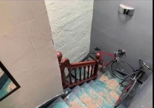 4 bedrooms apartment for rent in Montreal - Le Plateau-Mont-Royal — photo 12