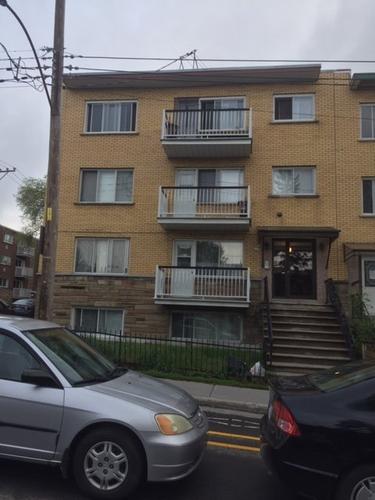 Appartement de 2 chambres à louer à Montreal - Rosemont–La Petite-Patrie — photo 6