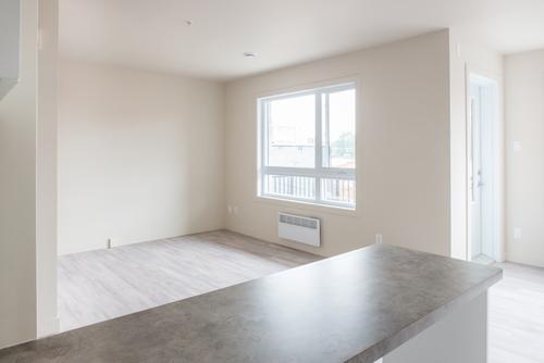 Appartement de 3 chambres à louer à Québec - La Cité-Limoilou — photo 5