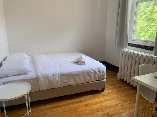 Appartement de 2 chambres à louer à Montreal - Le Plateau-Mont-Royal — photo 6