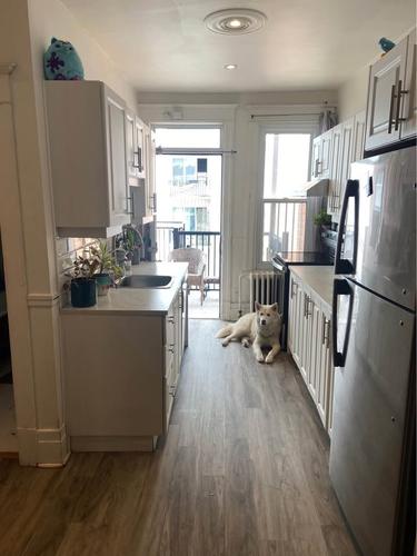 Appartement de 2 chambres à louer à Montreal - Le Plateau-Mont-Royal — photo 5