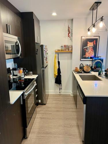 Appartement de 1 chambre à louer à Montreal - Rosemont–La Petite-Patrie — photo 3
