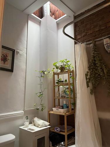 Appartement de 2 chambres à louer à Montreal - Le Plateau-Mont-Royal — photo 8