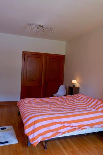 Appartement de 2 chambres à louer à Montreal - Rosemont–La Petite-Patrie — photo 5