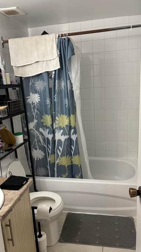 Appartement de 1 chambre à louer à Québec - La Cité-Limoilou — photo 7