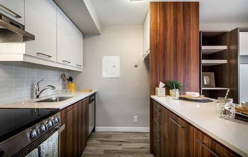 1 bedroom apartment for rent in Montreal - Le Plateau-Mont-Royal — photo 6