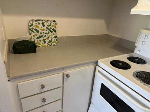 1 bedroom apartment for rent in Longueuil — photo 7
