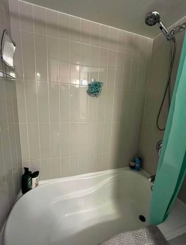 1 bedroom apartment for rent in Montreal - Le Plateau-Mont-Royal — photo 9