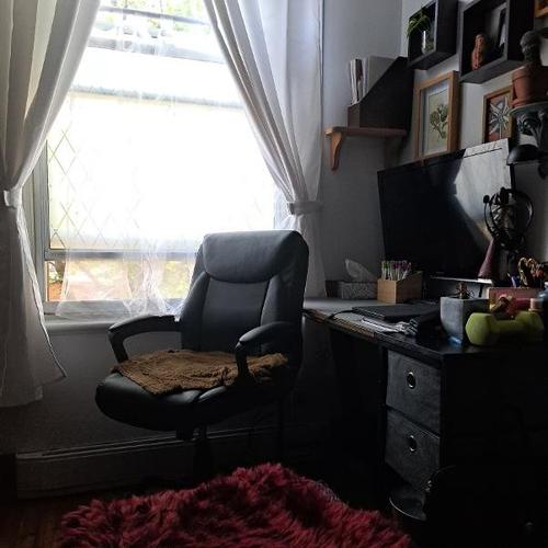 2 bedrooms apartment for rent in Montreal - Le Plateau-Mont-Royal — photo 11