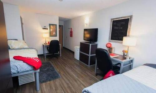 1 bedroom apartment for rent in Montreal - Le Plateau-Mont-Royal — photo 2