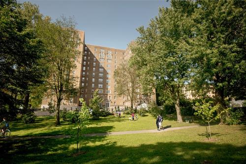Appartement de 2 chambres à louer à Québec - La Cité-Limoilou — photo 12