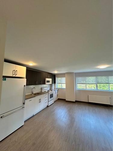 2 bedrooms apartment for rent in Montreal - Le Plateau-Mont-Royal — photo 3
