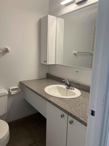Studio à louer à Québec - Sainte-Foy–Sillery–Cap-Rouge — photo 3