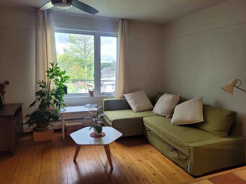 1 bedroom apartment for rent in Lévis — photo 18