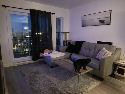 Appartement de 1 chambre à louer à Québec - Les Rivières — photo 5