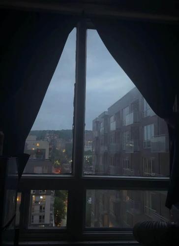 1 bedroom apartment for rent in Montreal - Ville-Marie — photo 5